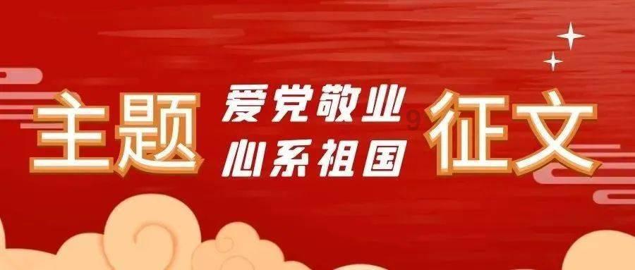 救援大嘴鸟